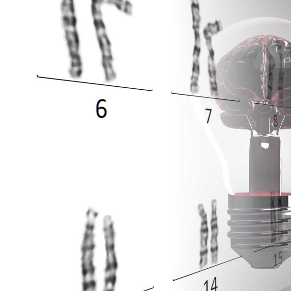 DL-Based Banding Classification with Ikaros