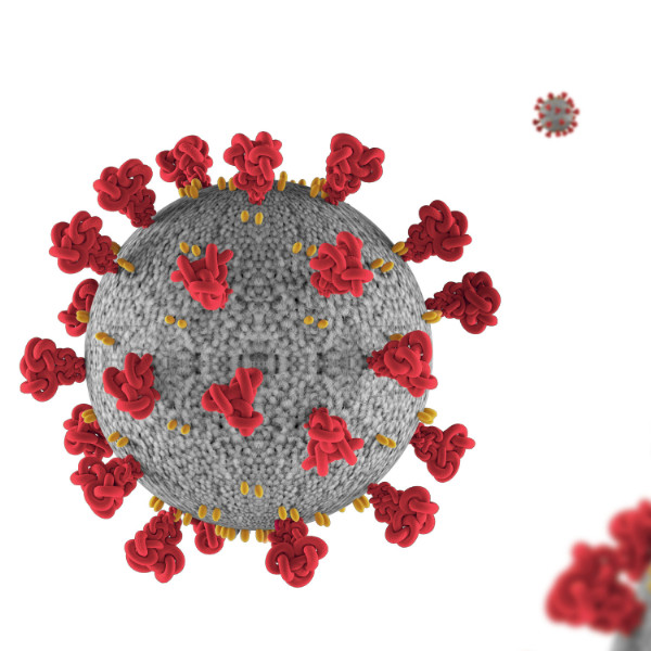 Development of High Precision SARS-COV-2 (RNA) FISH Probes